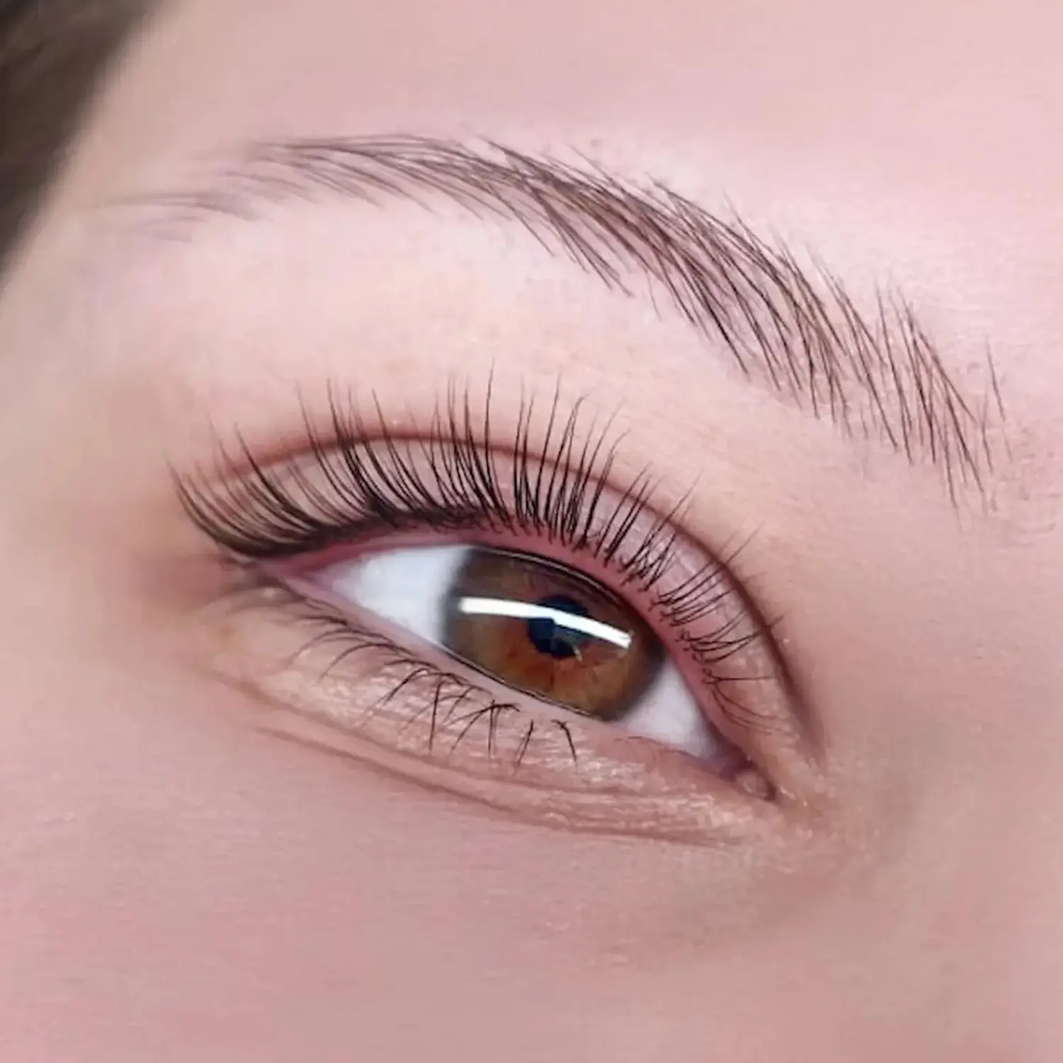 Wimpernlaminierung