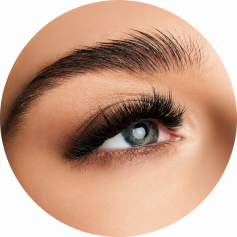 Wimpern Wimpern