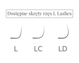 Wimpern L Lashes 7