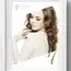 Werbeplakat Noble Lashes Delicate
