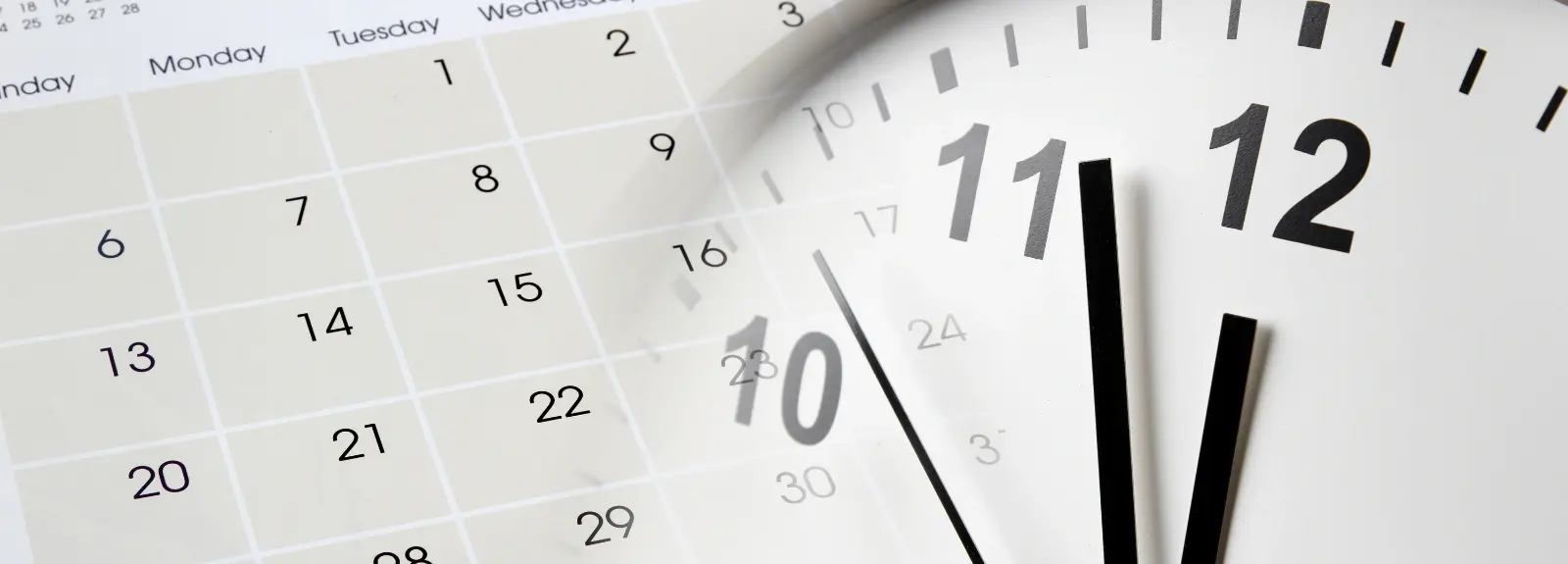 Wie kann man die Wimpernverlängerung beschleunigen? Praktische Tipps für Lash-Stylistinnen