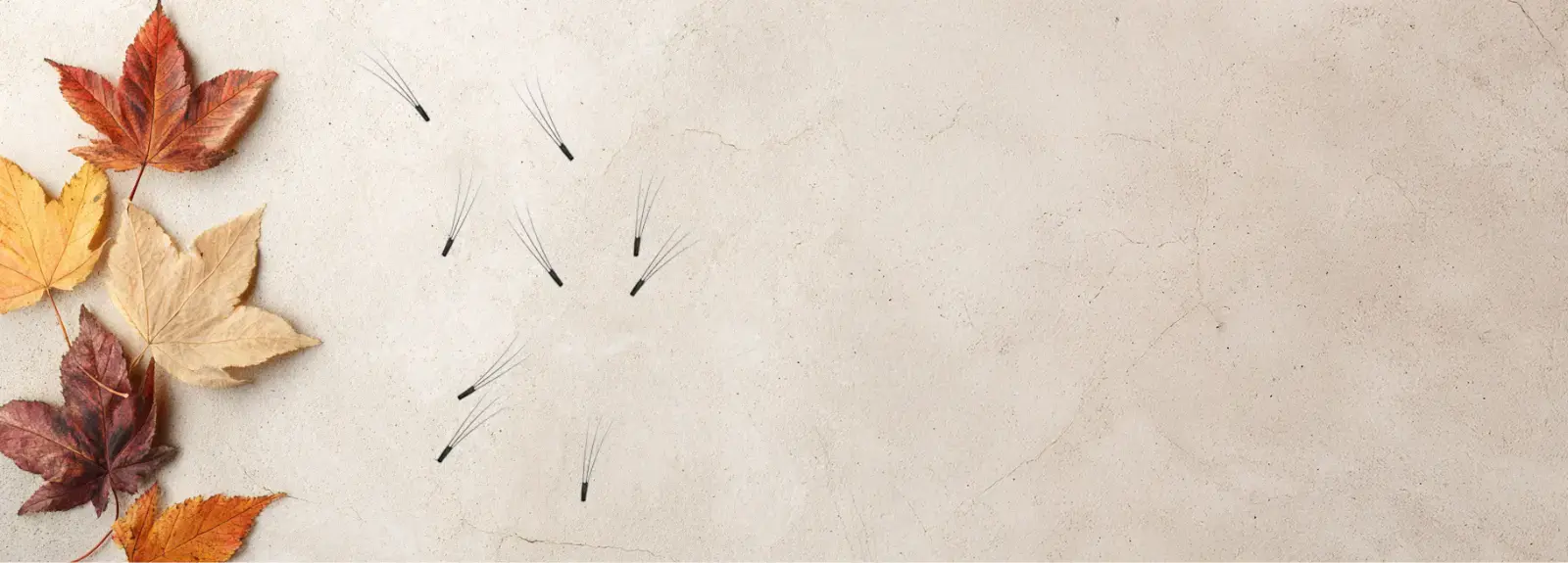 Warum fallen Wimpern aus? – Saisonaler Wimpernausfall