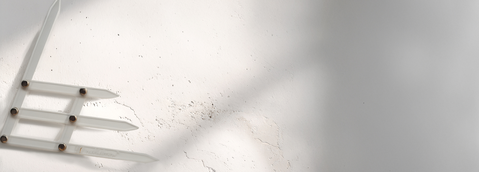 Augenbrauen-Geometrie – die Grundlage der perfekten Stylisierung