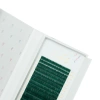 Color Line Wimpern GREEN