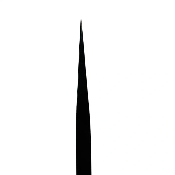 Pinzette Plasma Black Straight