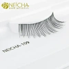 Falsche Streifen-Wimpern