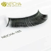 Falsche Streifen-Wimpern